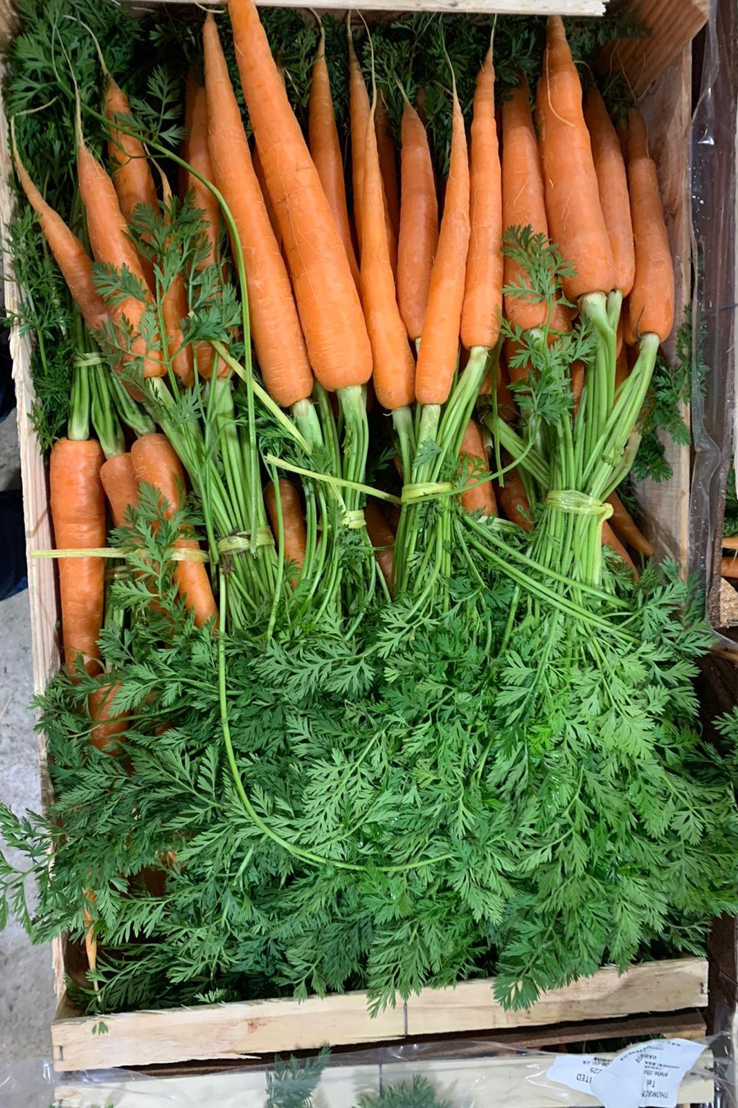 Bunch Carrots Box - Jackie Leonards
