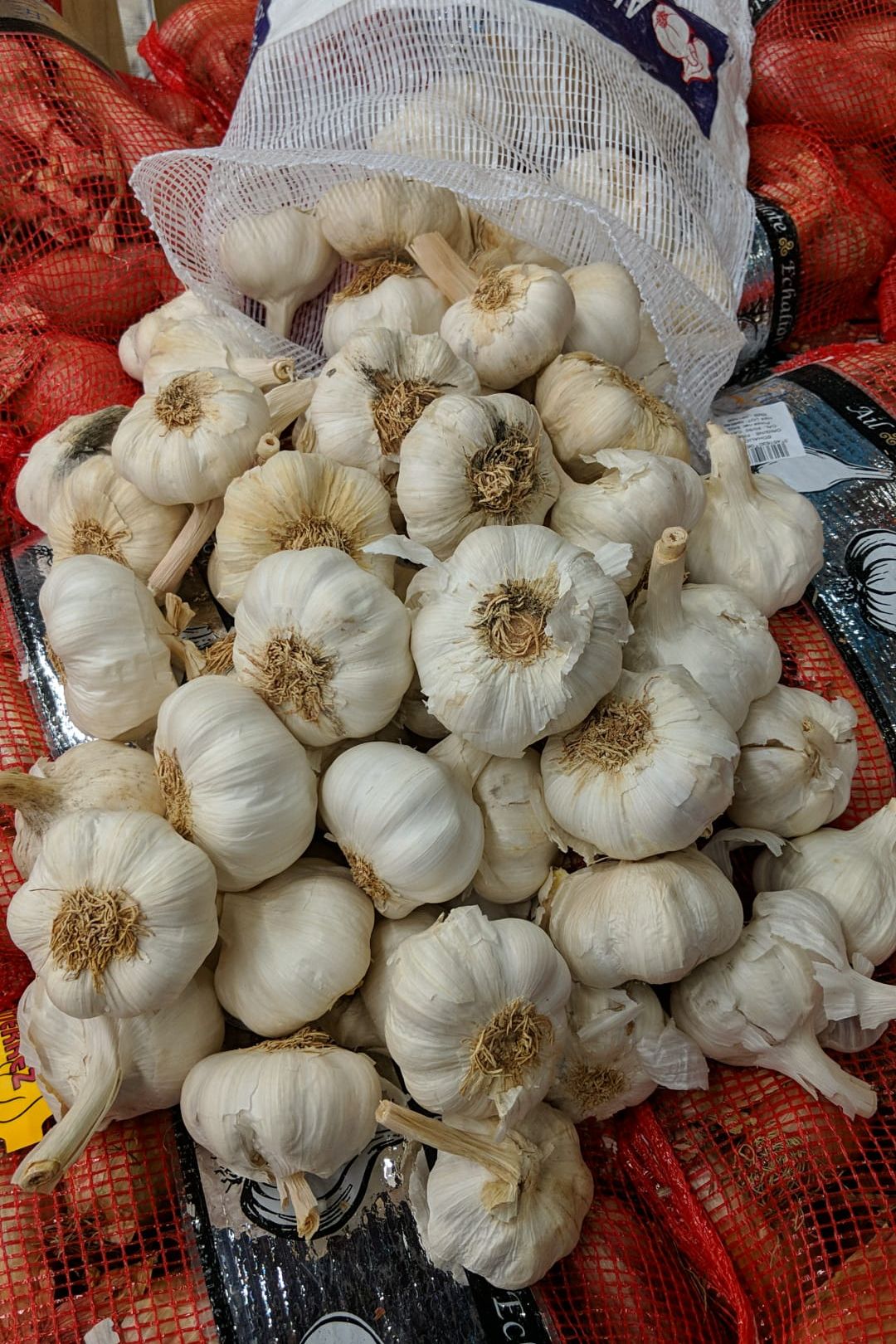 Garlic (x4.5kg) Bag - Jackie Leonards