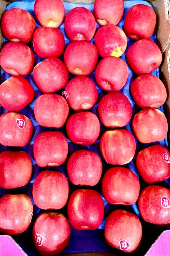 Apples Pink Lady Box - Jackie Leonards