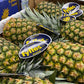 Pineapples Box - Jackie Leonards