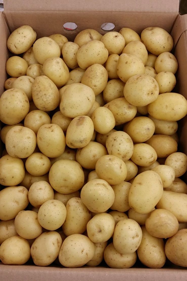 POTATO BABY Salad [x10kg] BOX - Jackie Leonards