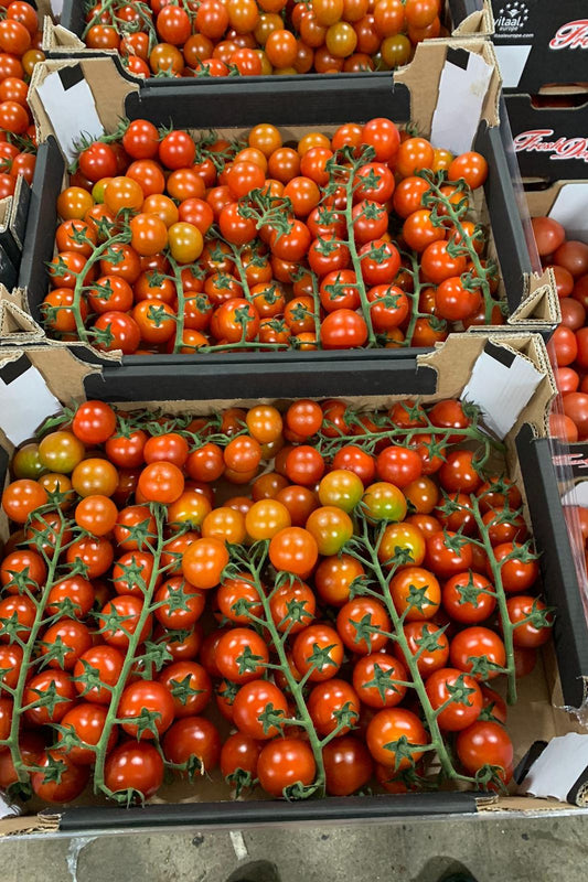 Tomatoes Cherry Vine “CHICA” x3kg Box - Jackie Leonards