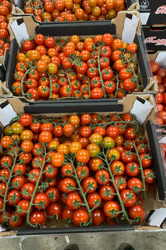 Tomatoes Cherry Vine “CHICA” x3kg Box - Jackie Leonards