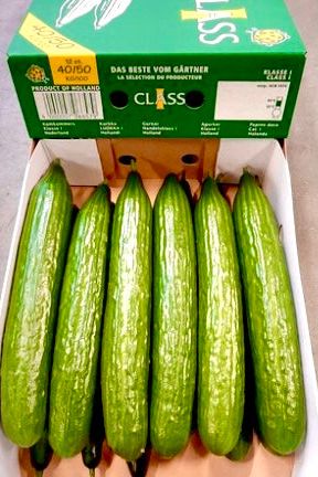 Cucumber Box - Jackie Leonards