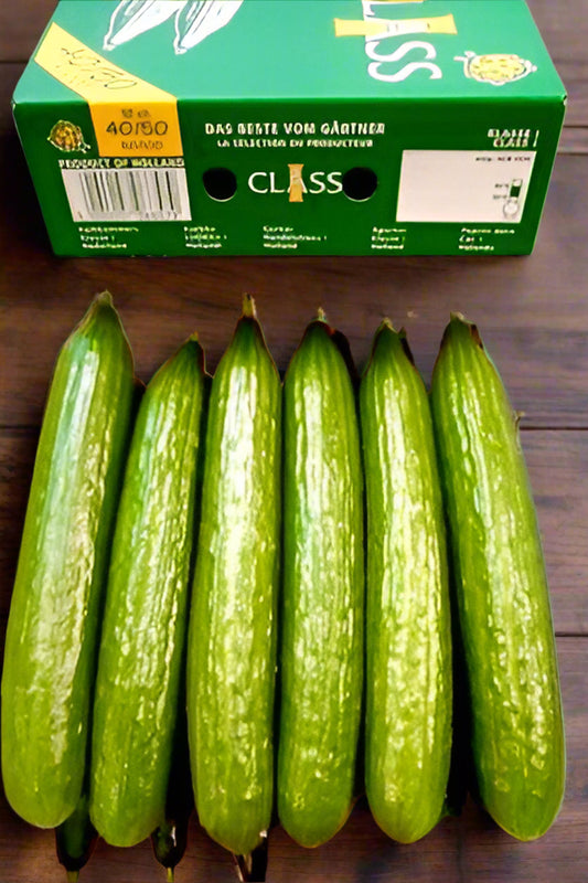 Cucumber Box - Jackie Leonards