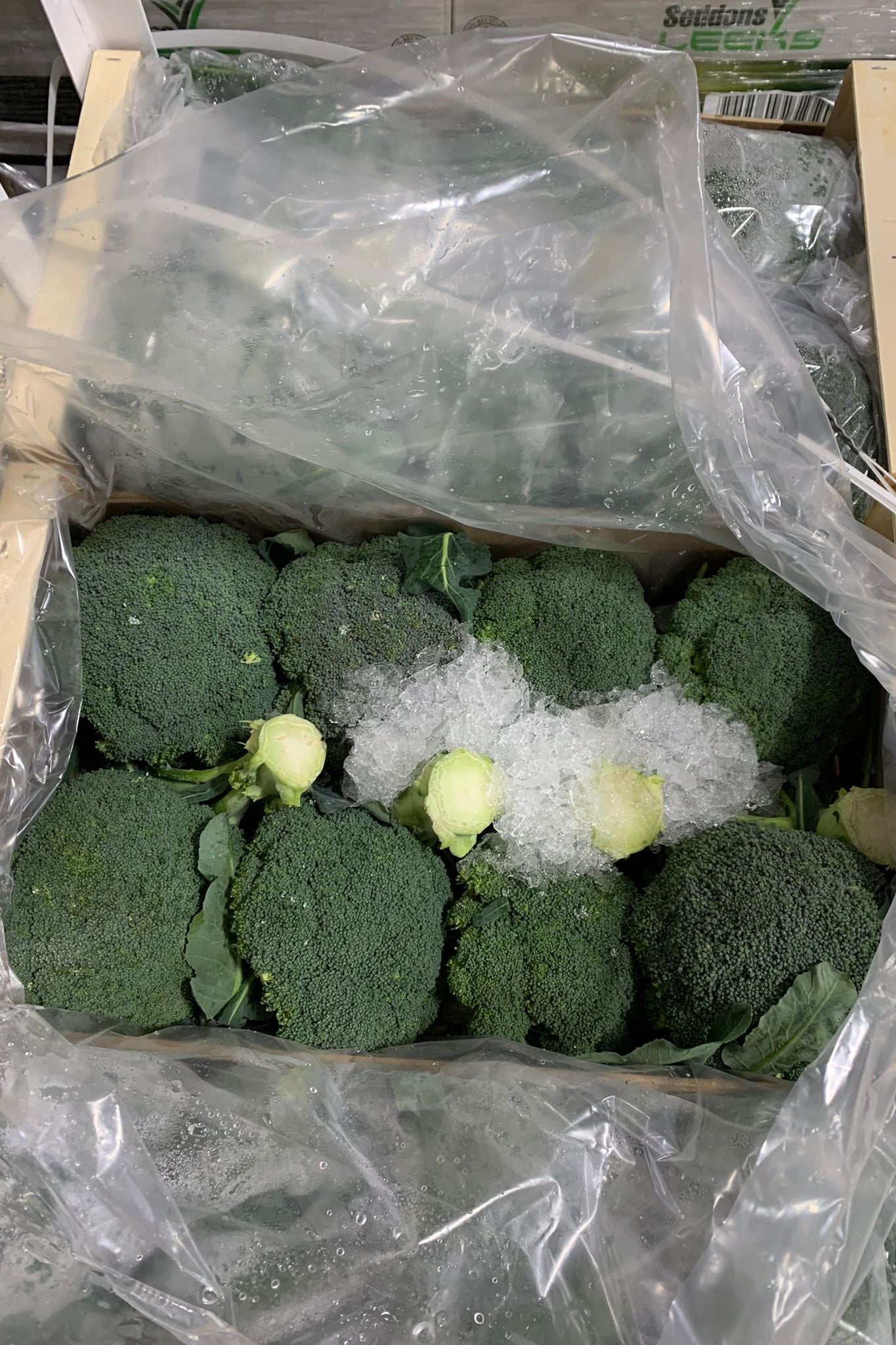 Broccoli Spanish (x6kg) Box - Jackie Leonards