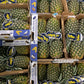 Pineapples Box - Jackie Leonards