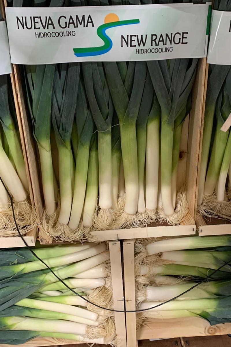 Leeks fresh Bag x5kg - Jackie Leonards