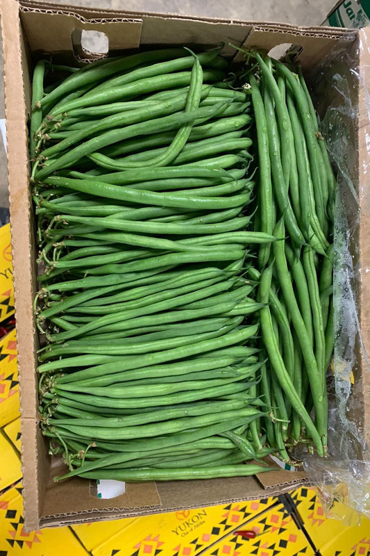 Beans fine green (x1.5kg) Box - Jackie Leonards