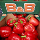 Pepper Red Bell Capsicum Box - Jackie Leonards