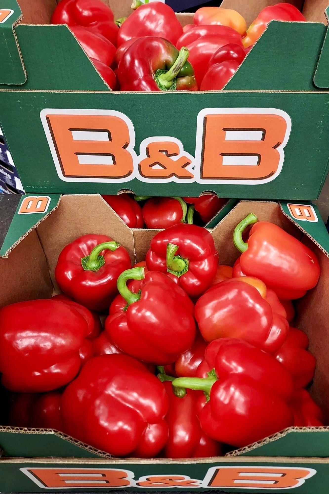Pepper Red Bell Capsicum Box - Jackie Leonards