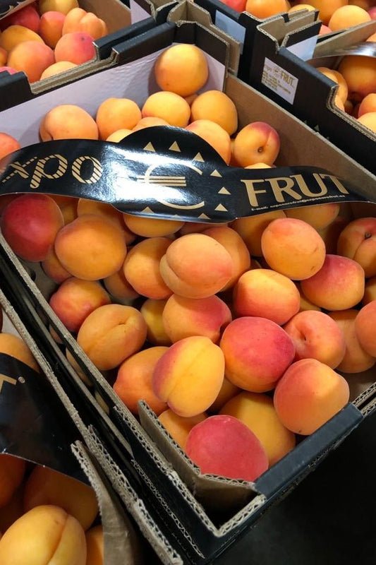 Apricots Fresh Box - Jackie Leonards