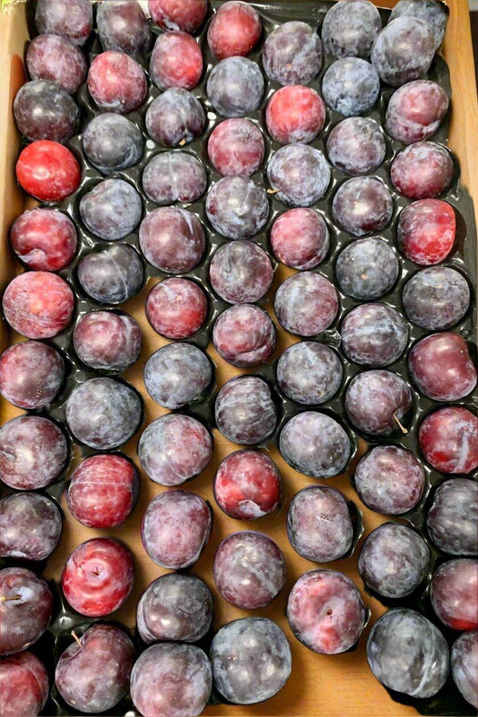 Plum Portugal Tray x5kg - Jackie Leonards