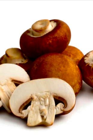 Mushroom Chestnut Brown - Jackie Leonards