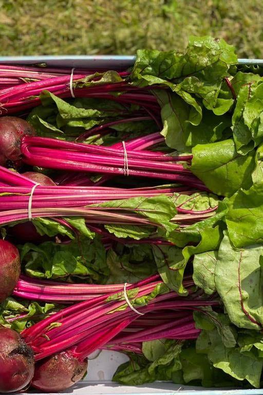 Bunch Beetroot Box - Jackie Leonards