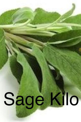 Sage Kilo Bag - Jackie Leonards