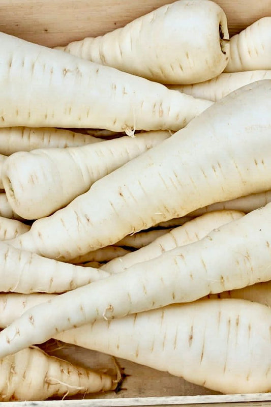 PARSNIP WHOLE (x5kg) BOX - Jackie Leonards