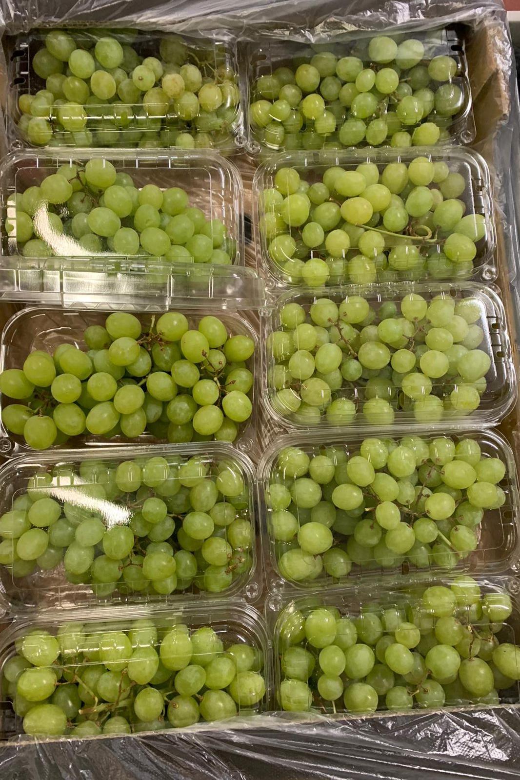 GRAPES Green Seedless (10x500grm)BOX - Jackie Leonards