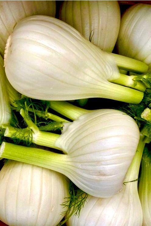 Fennel Bulb Box - Jackie Leonards