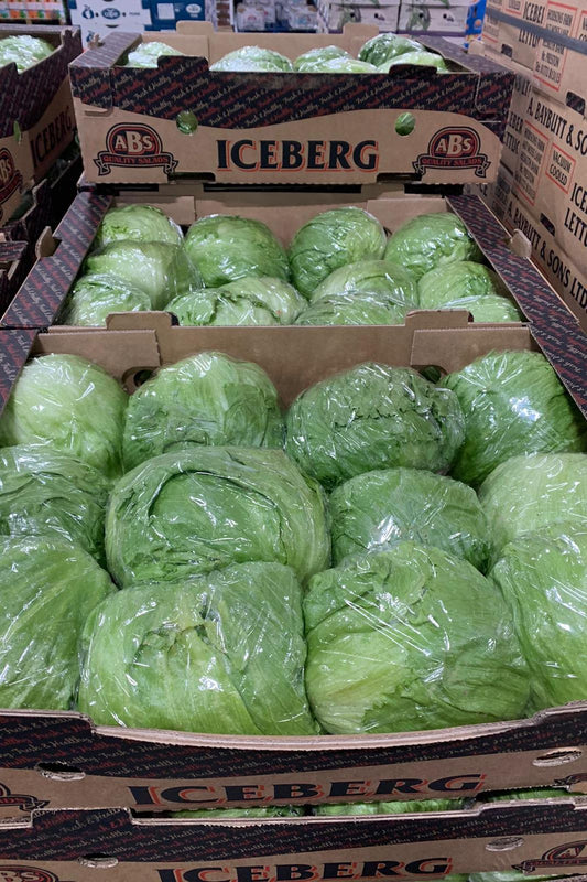 Lettuce Iceberg Box - Jackie Leonards