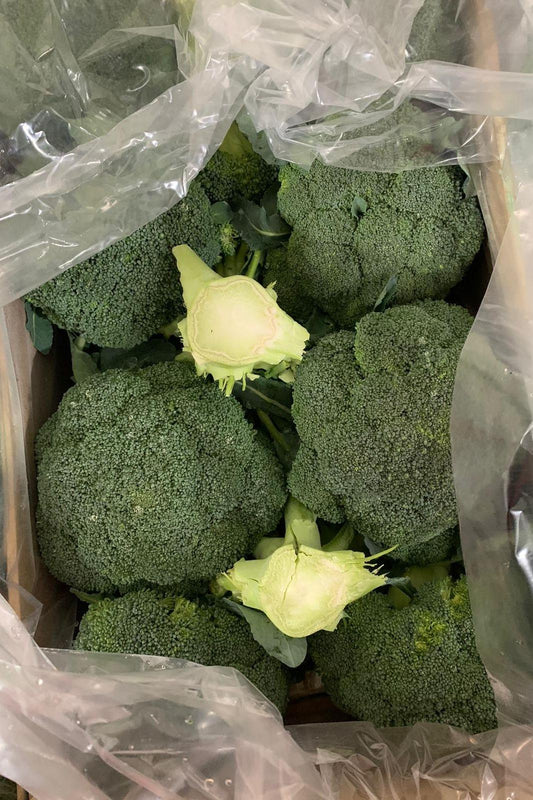 Broccoli Box - Jackie Leonards