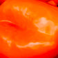 Pepper Orange - Jackie Leonards