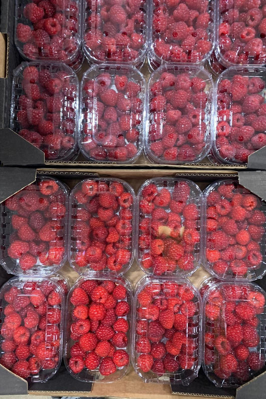 Raspberries (12x125grm) Box - Jackie Leonards