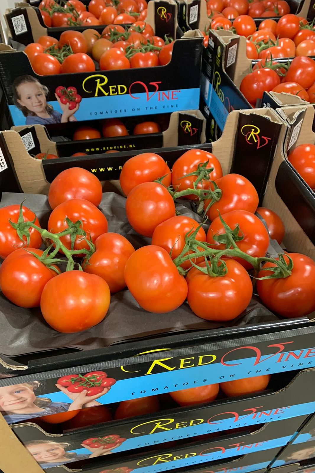 Tomatoes vine (x5Kg) Box - Jackie Leonards