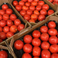 Tomatoes Round (x6Kg)Box. - Jackie Leonards