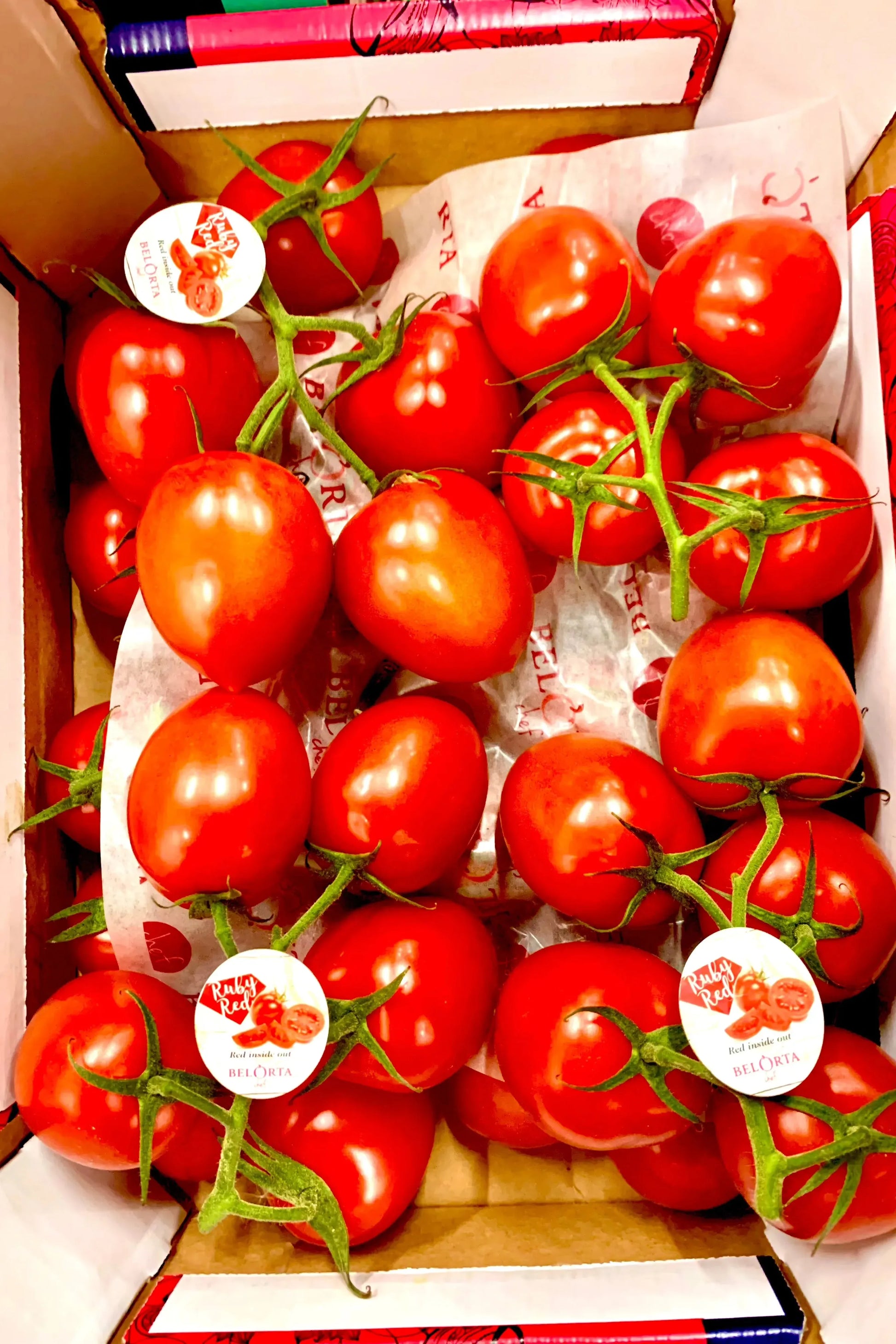 TOMATOES PLUM ON THE VINE (x5Kg) BOX - Jackie Leonards