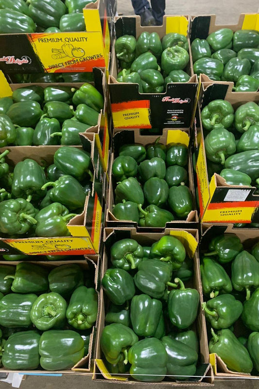 Pepper Green Bell Capsicum Box - Jackie Leonards