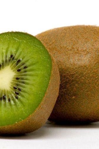 KIWI FRUIT [x6] TRAY - Jackie Leonards