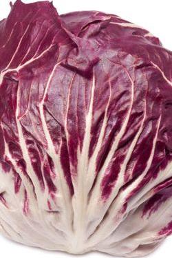 LETTUCE RADICCHIO - Jackie Leonards