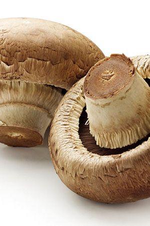 MUSHROOM SLICED (x250grm) RETAIL PACK - Jackie Leonards