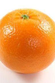 ORANGE LARGE SIZE PACKET [x4] UNITS - Jackie Leonards