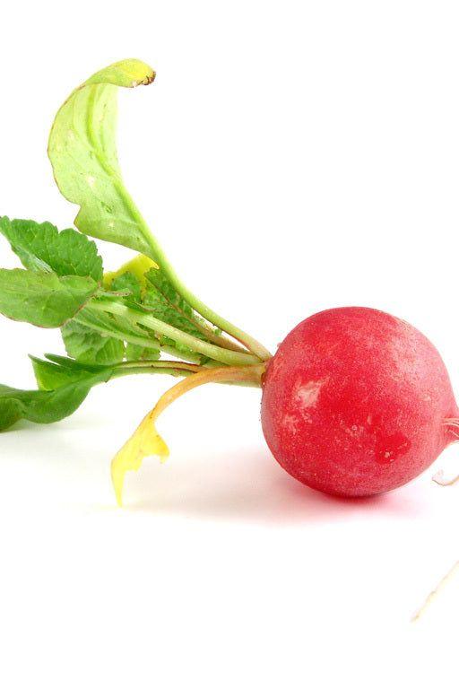 RADISH POLY BAG - Jackie Leonards