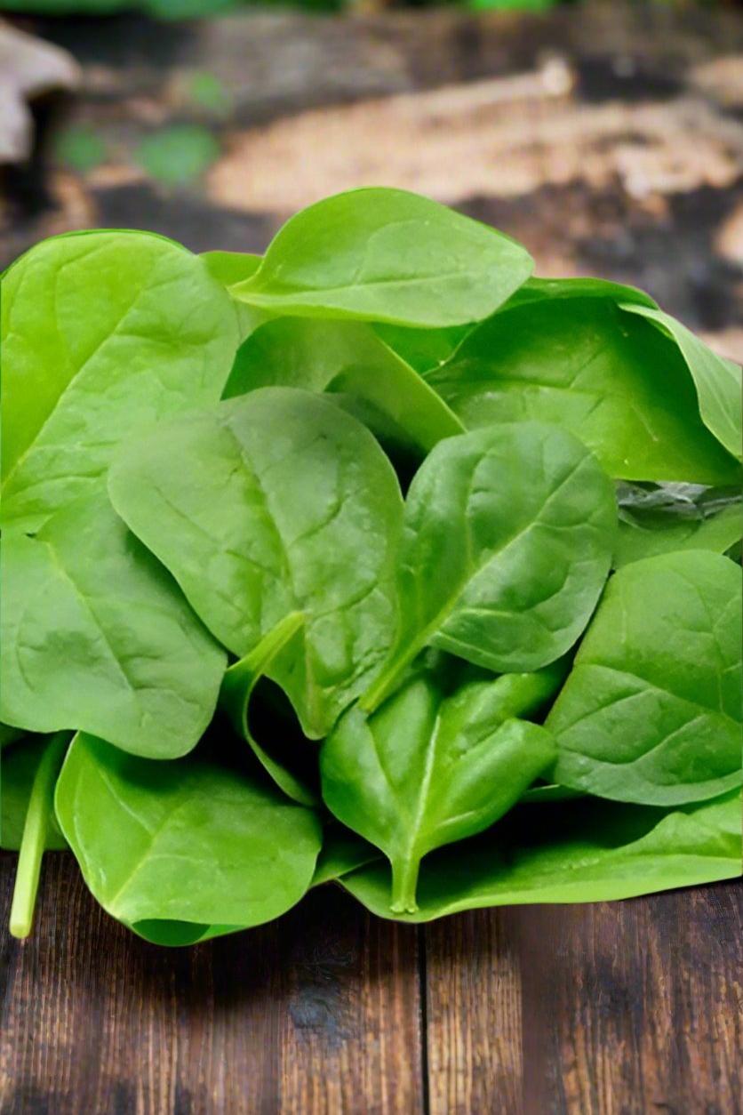 SPINACH BABY (x500grm) BAG - Jackie Leonards